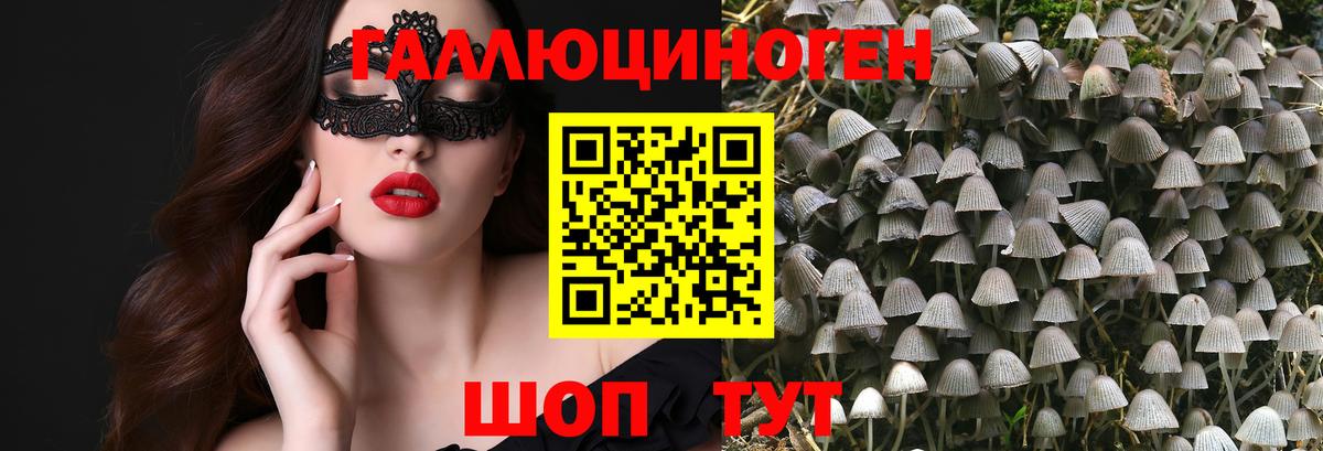 Бузулук  Галлюциногенные грибы Psilocybine cubensis  Вход с VPN 
