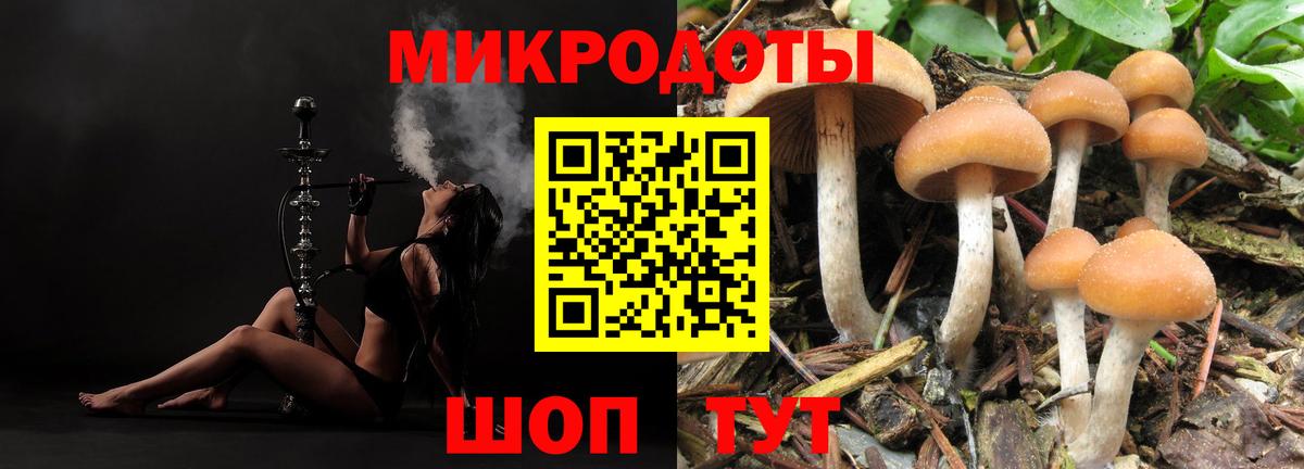 Псилоцибиновые грибы Psilocybe Бузулук